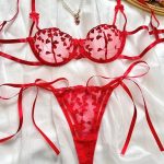 Lace Transparent Bra Panty Set
